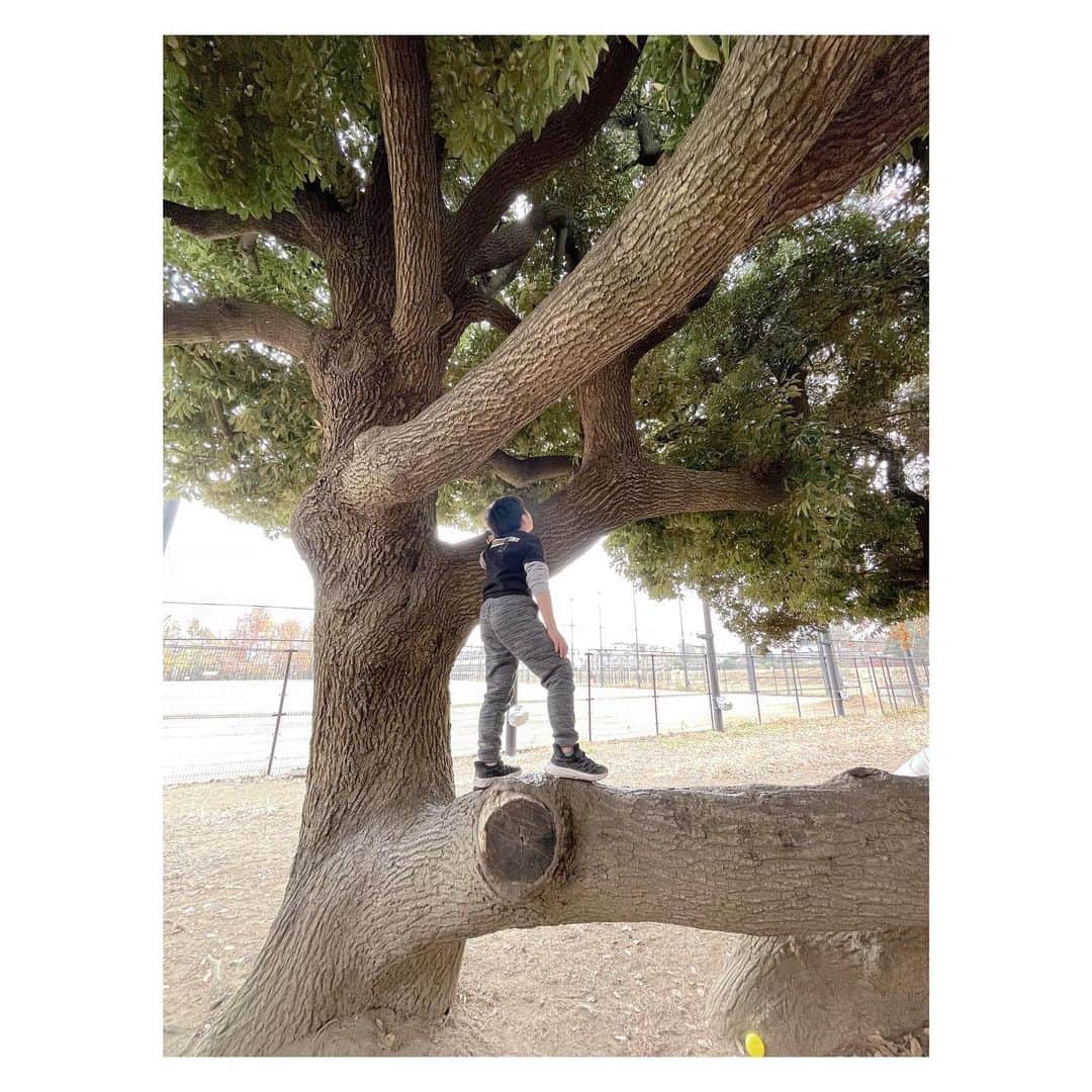 辻希美さんのインスタグラム写真 - (辻希美Instagram)「今日は公園に行って大きな変わった形の木を見つけました😉💕"  トトロが出そうな木❤️✨」12月12日 17時31分 - tsujinozomi_official