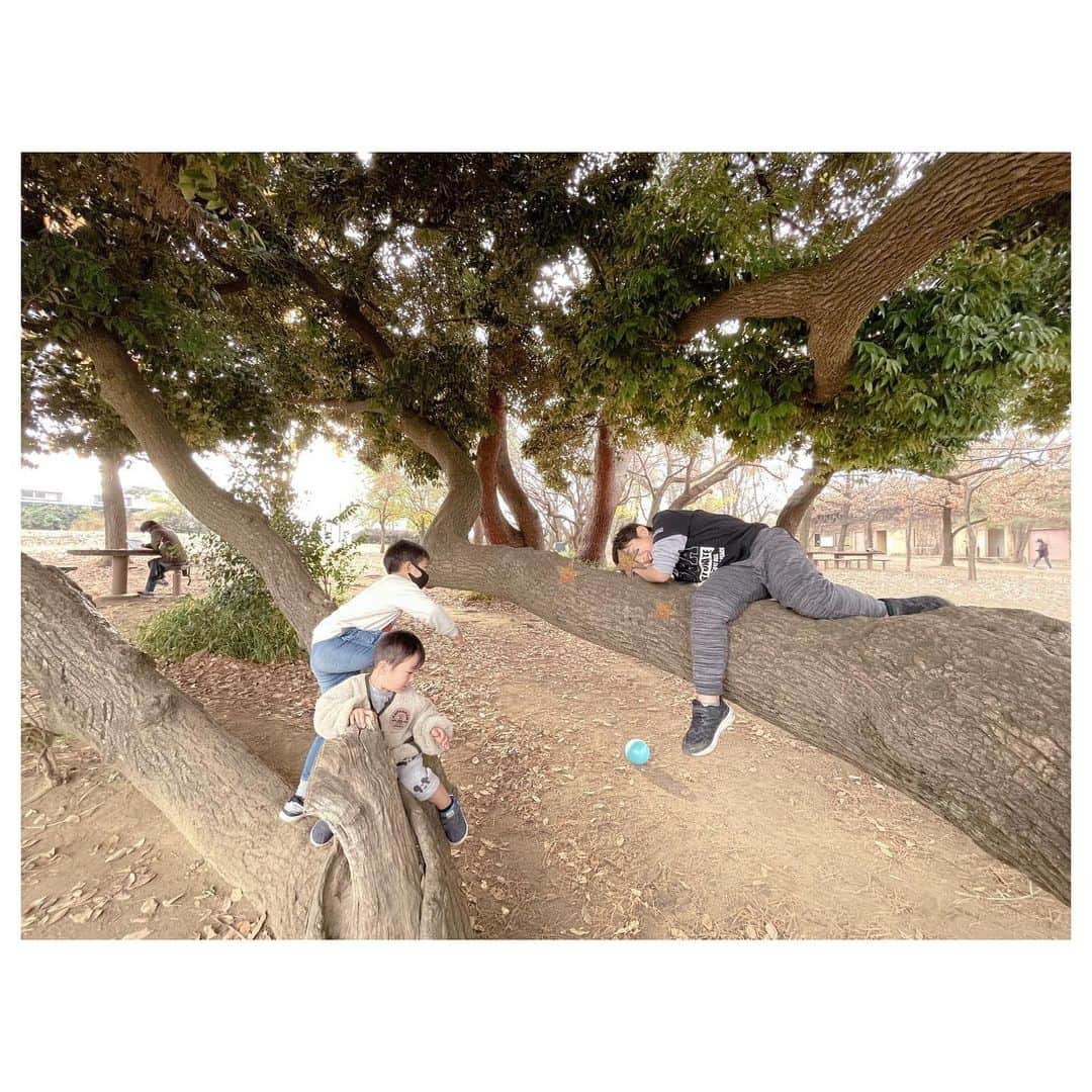辻希美さんのインスタグラム写真 - (辻希美Instagram)「今日は公園に行って大きな変わった形の木を見つけました😉💕"  トトロが出そうな木❤️✨」12月12日 17時31分 - tsujinozomi_official