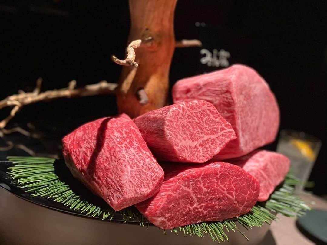 石川千裕（ちぴたん）さんのインスタグラム写真 - (石川千裕（ちぴたん）Instagram)「・ 🐮🌳 さいきょうすぎるお肉屋さんでした。 birthdayも含め いちねんお疲れ会が幸せすぎた🥲💗 おいしかったああああ。 #ushimatsu #うし松」12月12日 17時47分 - chipitan_1215