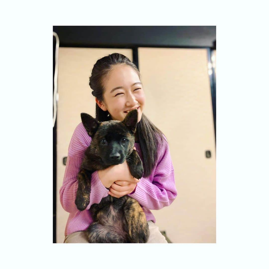 天翔愛さんのインスタグラム写真 - (天翔愛Instagram)「♡♡♡﻿ ﻿ 本日12/12(土) 19:00〜﻿ 日テレ「I LOVEみんなのどうぶつ園」﻿ 　　　〜日本犬を育てる！〜 ﻿ がもうすぐ放送されます❣️ わんちゃん達初めてのお散歩です🐕♪﻿ 是非チェックしてみてください~ ﻿ #ILOVEみんなのどうぶつ園﻿ #日テレ﻿ #わんちゃん﻿ #日本犬﻿ #かわいすぎます﻿ #親バカ ﻿ ﻿」12月12日 18時22分 - ai_tensho_official