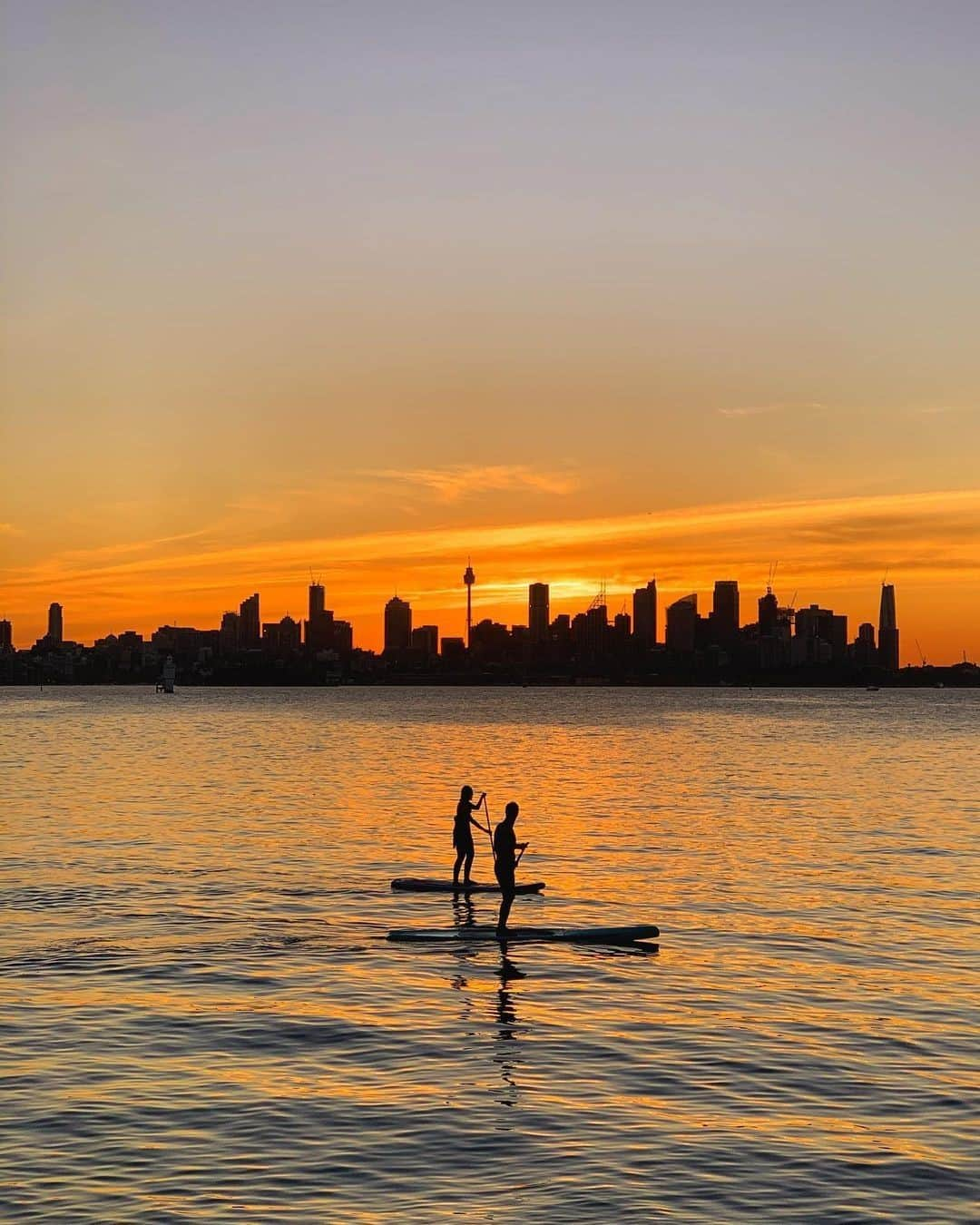 Australiaさんのインスタグラム写真 - (AustraliaInstagram)「‘Sup @sydney? 😎 @ichbinerster was out and about making the most of golden hour along the shores of the @visitnsw #HermitageForeshoreTrack when he captured this shot. This magical view is just one of the many picturesque scenes you'll find along the coastal walk; you’ll be able to see #SharkIsland, the #SydneyHarbourBridge and the grounds of the 19th-century estate, Strickland House along the way. Start the walking loop in #NeilsonPark in the suburb of #Vaucluse, then reward yourself at the end with a picnic overlooking Shark Beach, or lunch at the #NielsenParkCafe. #seeaustralia #holidayherethisyear #NewSouthWales #lovensw」12月12日 19時00分 - australia