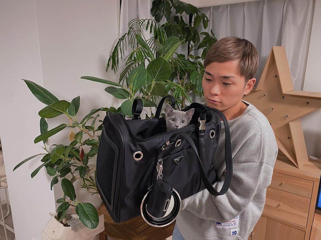 広海・深海さんのインスタグラム写真 - (広海・深海Instagram)「タオちゃんお出かけ用バッグ。 #おネコ様です #紗栄子さんからの