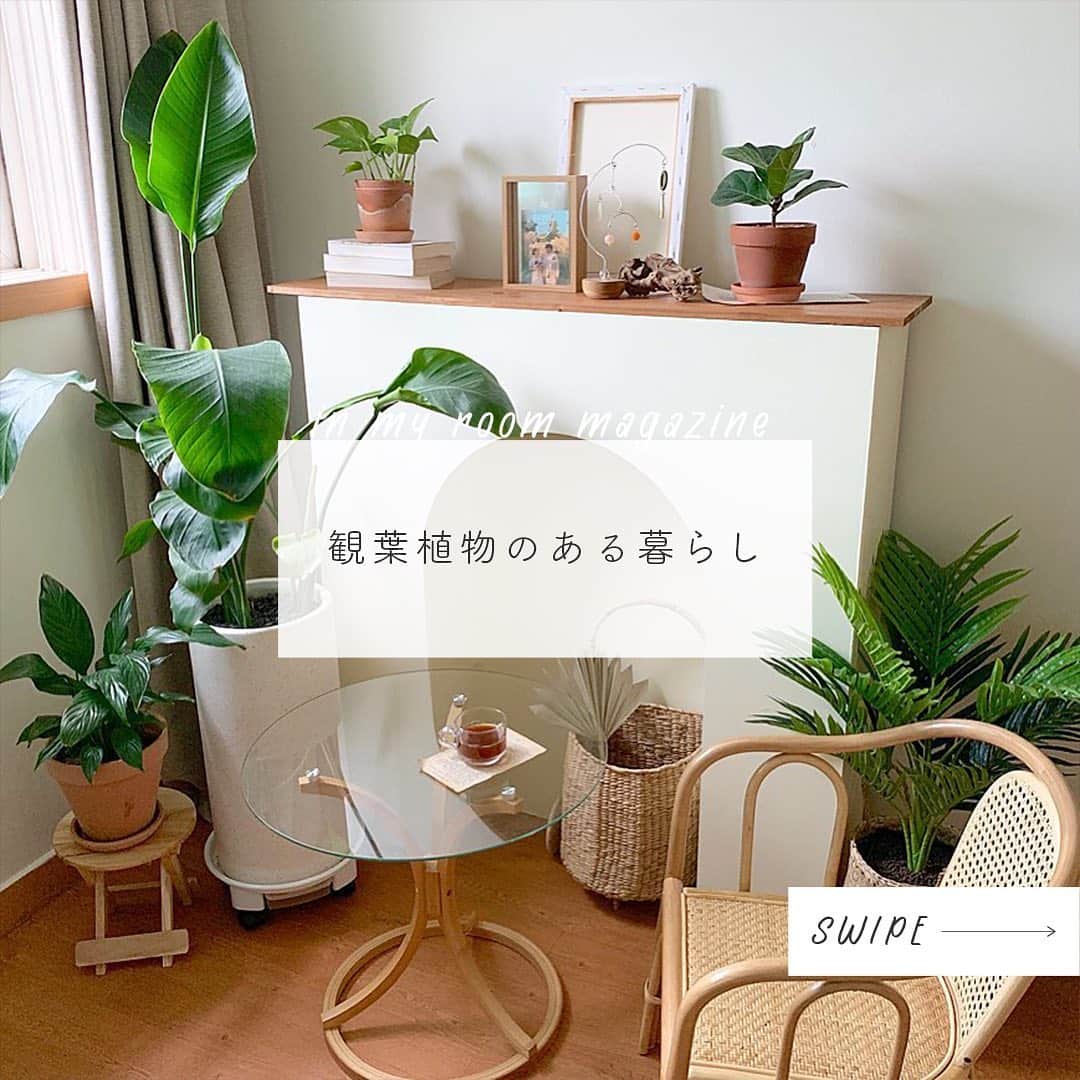 and-インスタマガジン-のインスタグラム