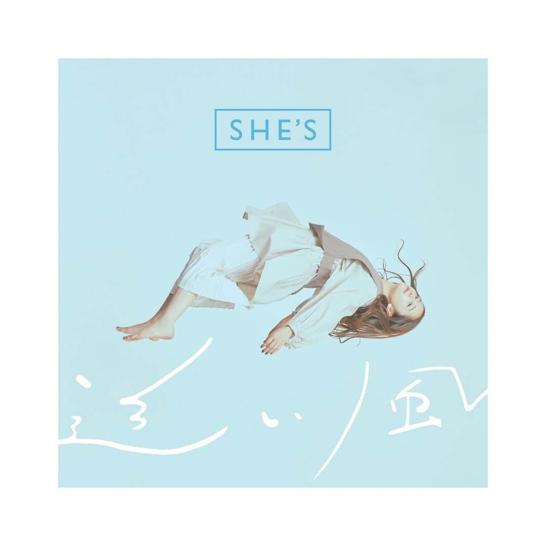 堀田真由さんのインスタグラム写真 - (堀田真由Instagram)「🍃 SHE'Sさんの 6thシングル『追い風』 2021年2月17日発売。 ジャケット写真に登場させて頂いております🙏 ・ 撮影の前に追い風、聴かせていただいたのですが... とにかくかっこいい。。。 とても前向きになれる楽曲でした。 発売されるのが楽しみです☺︎  #she_s」12月12日 20時31分 - mayuhotta