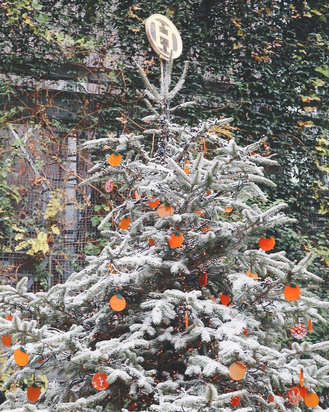 中田絵里奈さんのインスタグラム写真 - (中田絵里奈Instagram)「. 🍊🎄 . . #銀座ソニーパーク #hermes #christmastree」12月12日 20時39分 - erinanakata