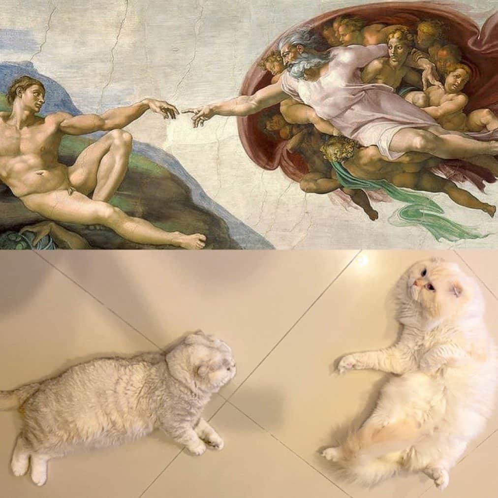 Haruのインスタグラム：「Copy cat 😬」