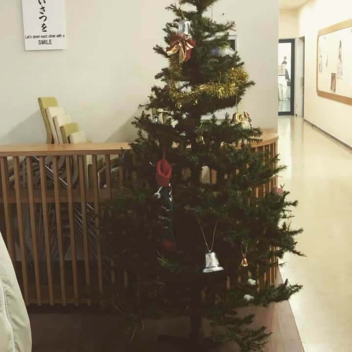 はいてくPOのインスタグラム：「もうすぐクリスマス🎄  #北海道ハイテク#義肢装具士#義肢装具士学科」