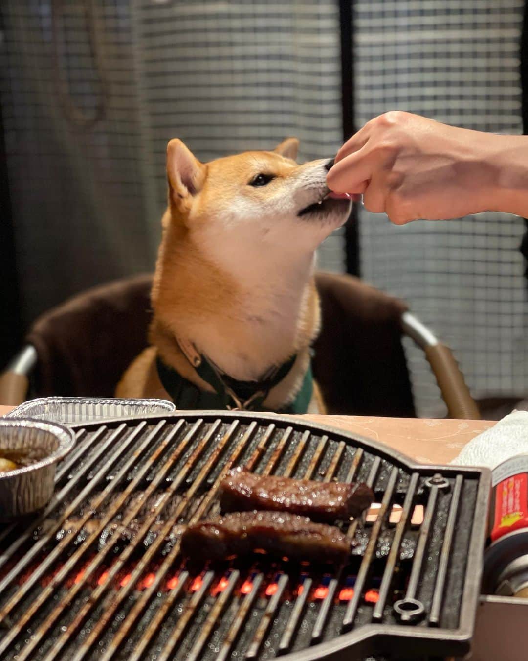 大山加奈のグルメインスタ