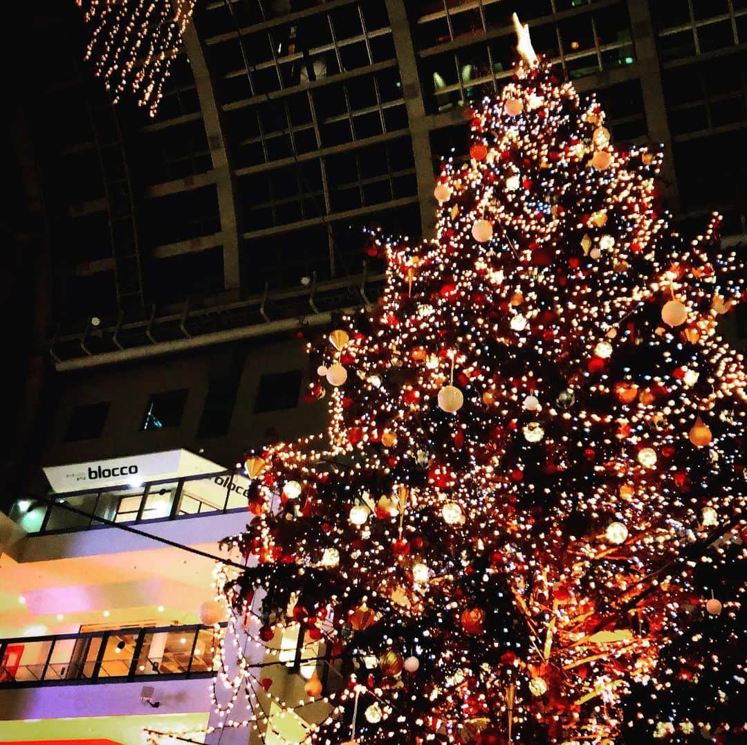 脇田唯さんのインスタグラム写真 - (脇田唯Instagram)「🎄 やっぱ、 年に一回は見ないと 気が済まない ファクトリーの クリスマスツリー  #クリスマス #Xmas #クリスマスツリー #サッポロファクトリー #🎄 #🎅」12月12日 20時52分 - post_yui