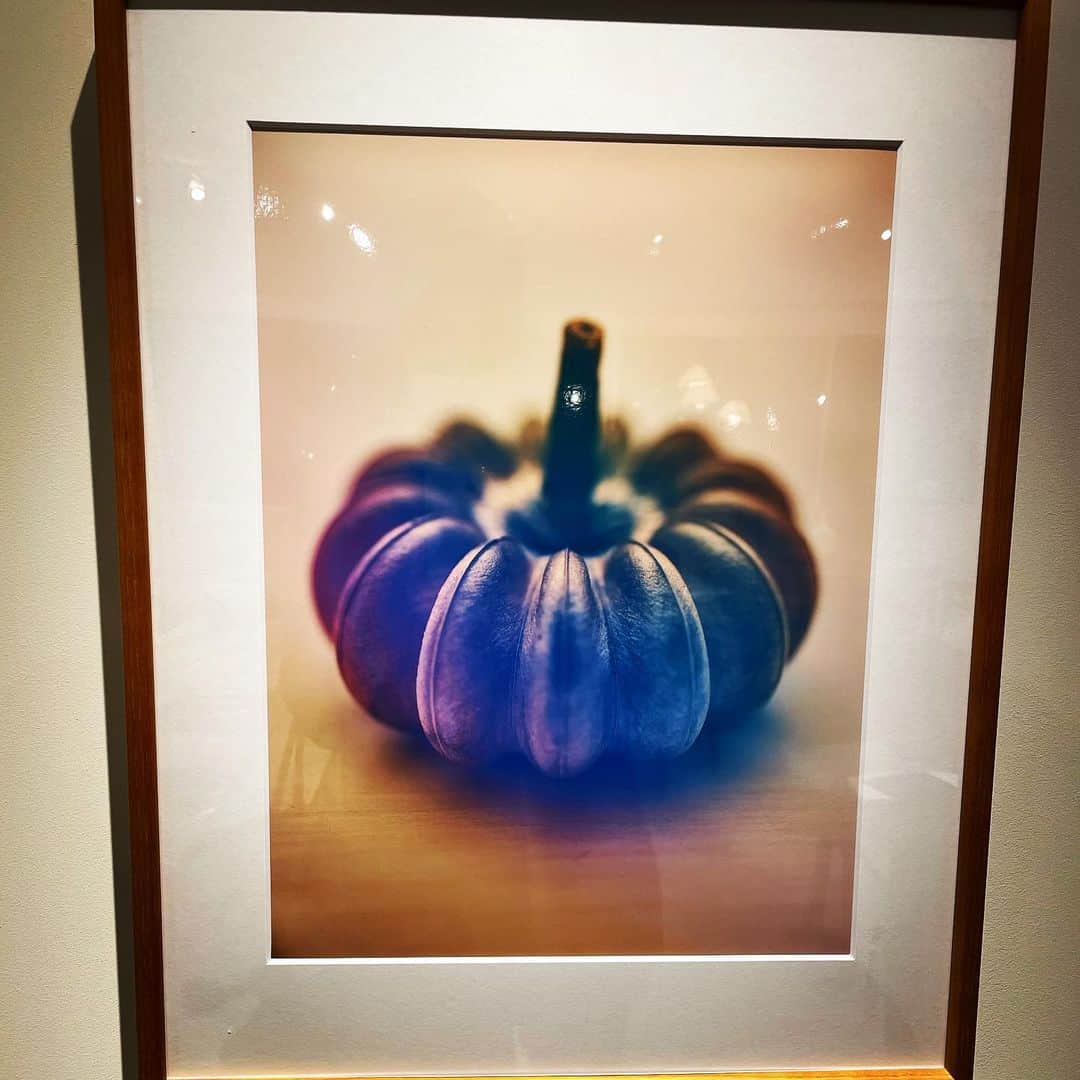 宮田麺児さんのインスタグラム写真 - (宮田麺児Instagram)「これ　全部写真やて。」12月12日 20時55分 - miyatamenji