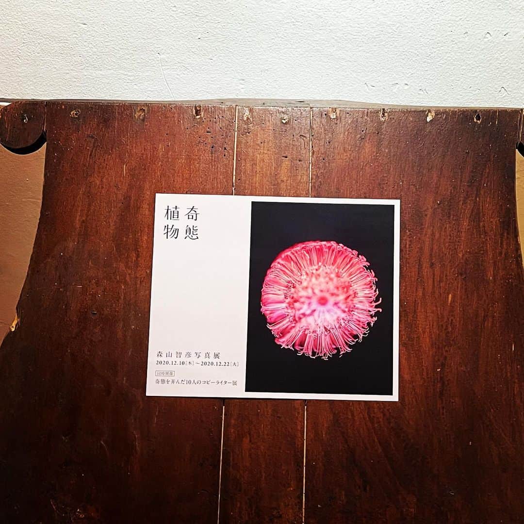 宮田麺児さんのインスタグラム写真 - (宮田麺児Instagram)「これ　全部写真やて。」12月12日 20時55分 - miyatamenji