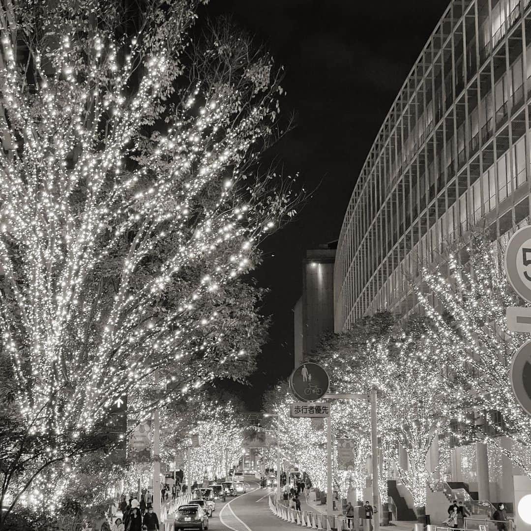 のインスタグラム：「𝚁𝚘𝚙𝚙𝚘𝚗𝚐𝚒 𝚒𝚕𝚕𝚞𝚖𝚒𝚗𝚊𝚝𝚒𝚘𝚗 ❄︎ ずっと眺めたいくらい綺麗だったな✨🎄」