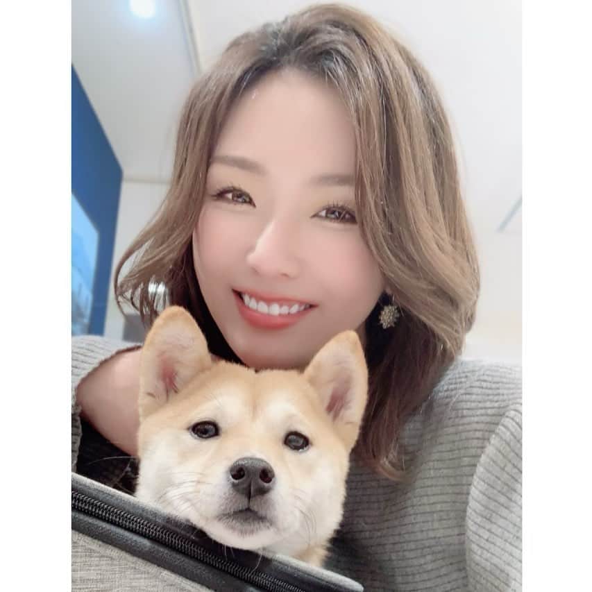 本条舞のインスタグラム