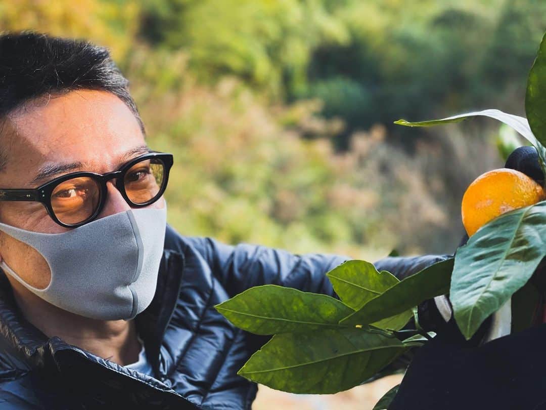 元木行哉のインスタグラム：「みかん、みかん、みかーん🍊﻿ 今年もみかん狩り。﻿ イノシシは木にも登ってくるそうですよ😱﻿ ﻿ #みかん #果物大好き #甘い #美味しい #みかん鍋 #みかんのうた」