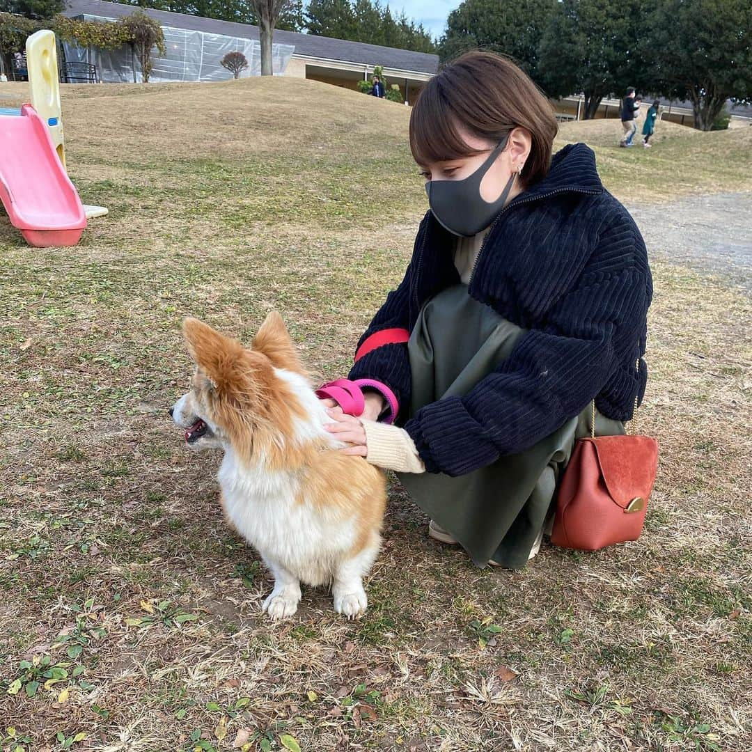 MIORIさんのインスタグラム写真 - (MIORIInstagram)「・ お犬さまと戯れてきたよ🐕  むかしコーギーちゃんを飼ってたから、 懐かしくなってお散歩させてもらったんだぁ  目が合ってる写真1枚もないね🎶 ・ #世界の名犬牧場#コーギー」12月12日 21時23分 - __mk.31__