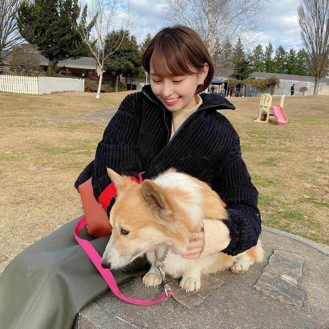 MIORIさんのインスタグラム写真 - (MIORIInstagram)「・ お犬さまと戯れてきたよ🐕  むかしコーギーちゃんを飼ってたから、 懐かしくなってお散歩させてもらったんだぁ  目が合ってる写真1枚もないね🎶 ・ #世界の名犬牧場#コーギー」12月12日 21時23分 - __mk.31__