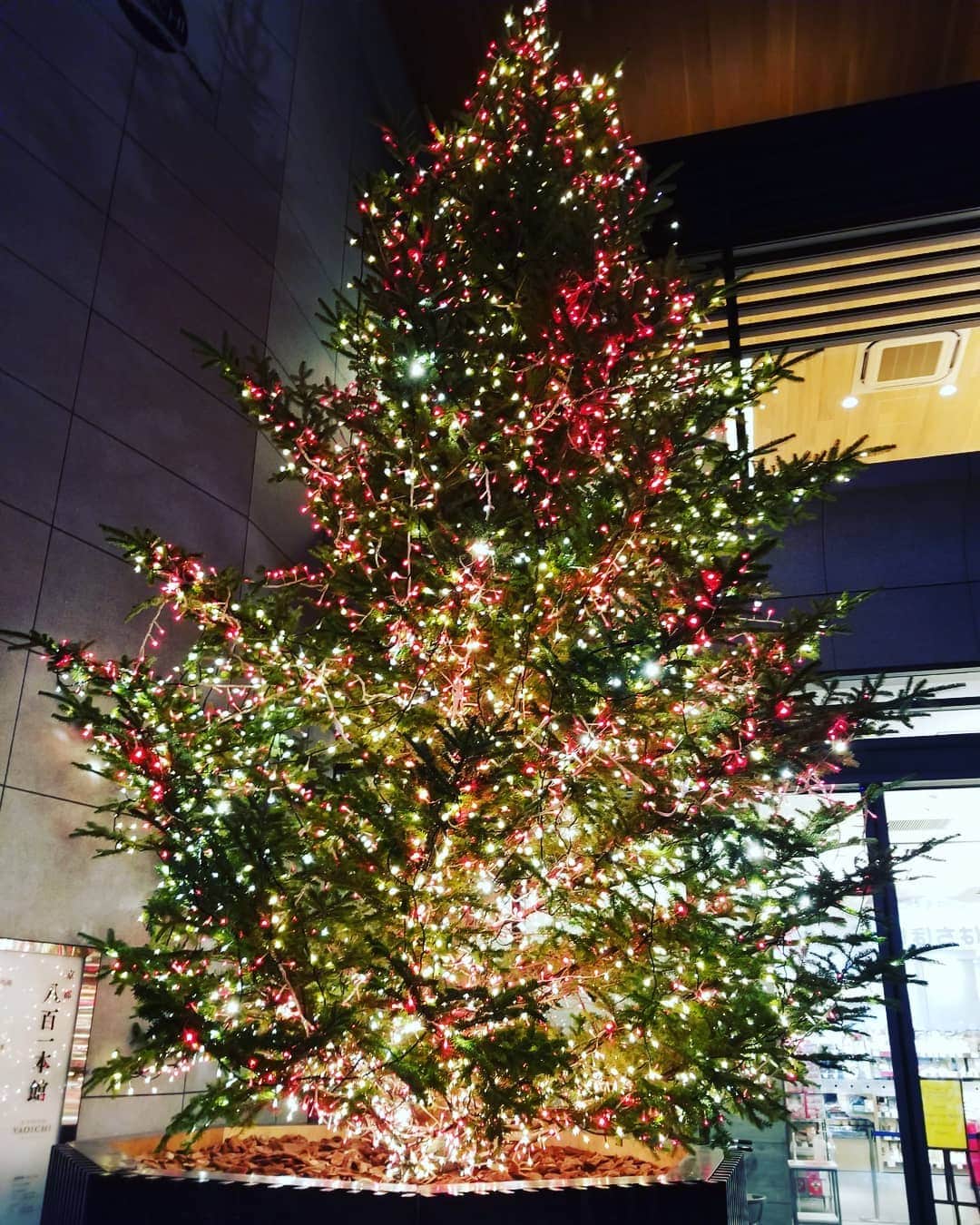 谷口キヨコのグルメインスタ