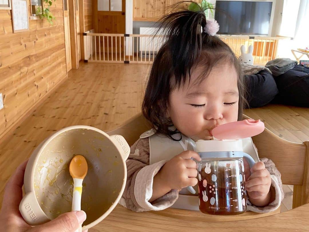 aco.さんのインスタグラム写真 - (aco.Instagram)「2020.12.12  最近の昼ご飯風景🍚  娘のご飯をあげるのにバタバタで 自分は食べ損ない 適当におやつをつまむ毎日😂🍪  娘が寝ている間に食べておけばいいのだけど したい事いっぱいあって 後回しになってしまうんですよね  不健康極まりないのが 心に引っかかりつつ😗 （でも晩御飯ガッツリ食べてます笑）  そんな時にちょうど @ashitabapururun さんの #アシタバグリーンスムージー を お試しさせて頂きました  #アシタバ が体に良いとか聞いたことはありますが 苦いのは苦手だから 青汁系はムリと思っていたけど これはめちゃくちゃフルーティーでバナナっぽい🍌  勝手なイメージで 青汁系はザラザラしていると思っていたのですが 食感もプルプルしていて本当に飲みやすい  何より驚いたのが 私は牛乳が本当に苦手なのですが 牛乳で作ってみたらすごく美味しくて 毎日牛乳で飲んでいます🤩  シェーカーに 水や牛乳（豆乳やヨーグルトでも）を入れ 粉を入れたら、20秒シェイクするだけ  娘の離乳食の用意をしながらでも作れるし ご飯を食べさせてあげながらでも飲めます♪  このスムージーは1食10g中に 植物性乳酸菌が1000億個 ヨモギ、高麗人参など 植物原料100種類以上の植物発酵エキス入り  腹持ちも良いので おやつの食べ過ぎ防止にもなっています笑  健康に良くて美味しいなんて✨ このまま続けてみようと思います  初回限定で割引と特典があるそうなので 気になる方はチェックしてみて下さいね↓ @ashitabapururun  . . . #pr #アシタバグリーンスムージー  #スムージー #pururun_pr  . . . 最後2枚の写真 娘も離乳食を よく食べるようになってきました🍚 顔、顔😂 .」12月12日 21時39分 - aco.chaaaaan