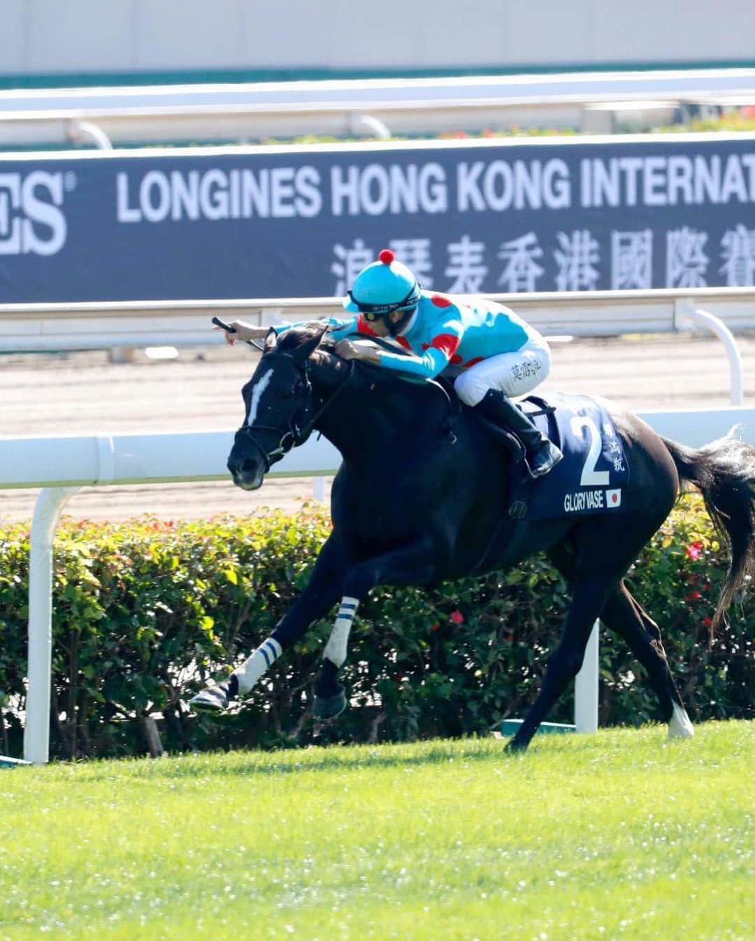 Christoffer Chengさんのインスタグラム写真 - (Christoffer ChengInstagram)「It’s the time of the year - the Longines Hong Kong International Races will be held tomorrow! With Longines as the Official Timekeeper, don’t miss out if you’re a fan! Wearing: Longines Spirit #LonginesHKIR #OfficialTimekeeper #LonginesSpirit @Longines」12月12日 21時40分 - curiouschristoffer