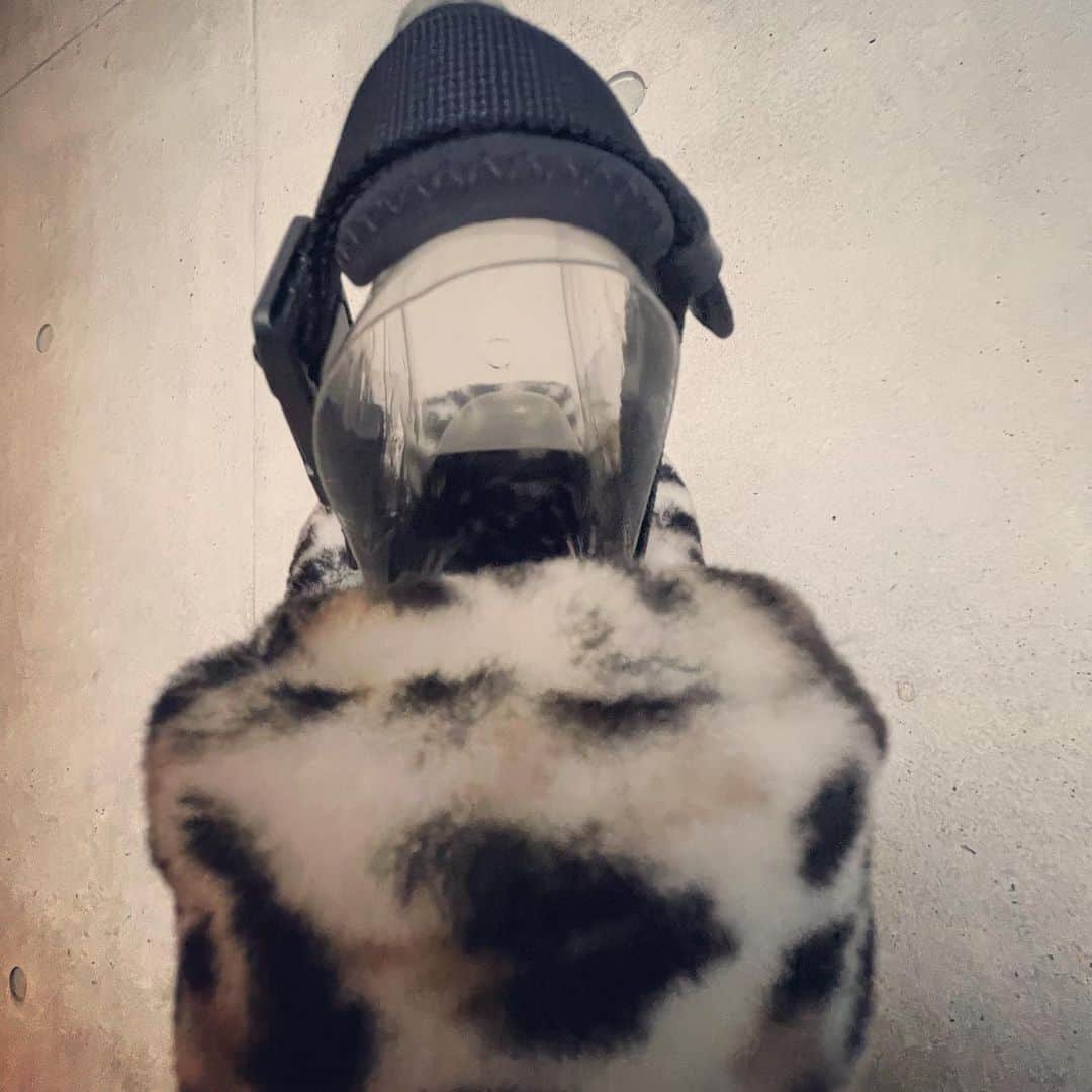 IKEさんのインスタグラム写真 - (IKEInstagram)「ヒョウ柄  @stampd @uggjapan  #stampd #uggjapan」12月12日 22時03分 - ike1984official