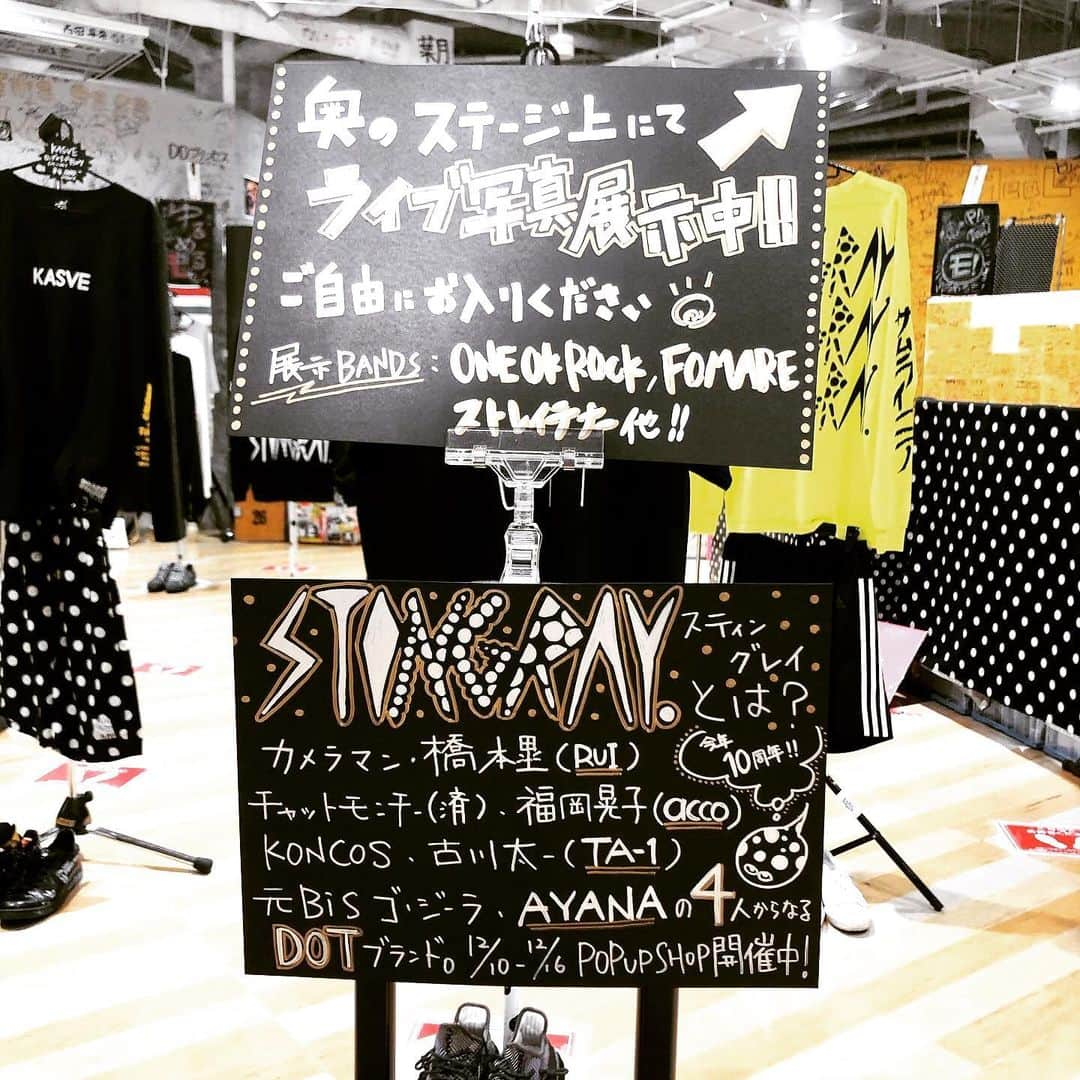 橋本塁さんのインスタグラム写真 - (橋本塁Instagram)「【タワレコ梅田NU茶屋STINGRAY３日目終了!】ご来店ありがとうございました！明日は日曜日！タワーレコード梅田NU茶屋町店(大阪市北区茶屋町10-12-6階)にて11:00-22:00にてコロナ感染防止対策して僕はずっと居ます！差し入れ有り難うございました！ 会場来店の方だけにKASVEの情報をお伝えしてるのでササっと是非！ #stingray  #kasve #コラボ　#10周年 #adidas #seek #welcome #samuraicore #candystripper #allaround #joju #theuniin #voo #moreaxe #梅田　#梅田nu茶屋町 #タワレコ　#タワーレコード梅田nu茶屋町店   #oneokrock #ワンオクロック #ストレイテナー #NCIS #androp #thebawdies #thepillows #fomare #FBY」12月12日 21時57分 - ruihashimoto