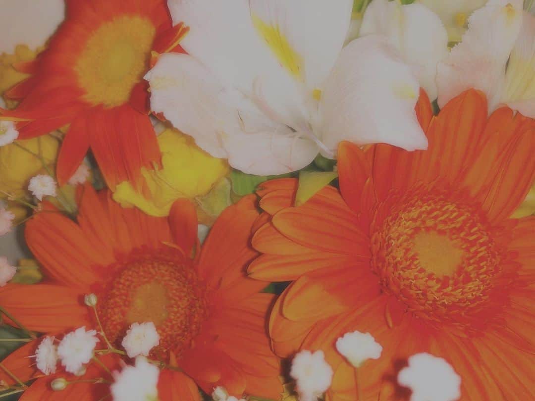 honoka のインスタグラム：「◡̈」