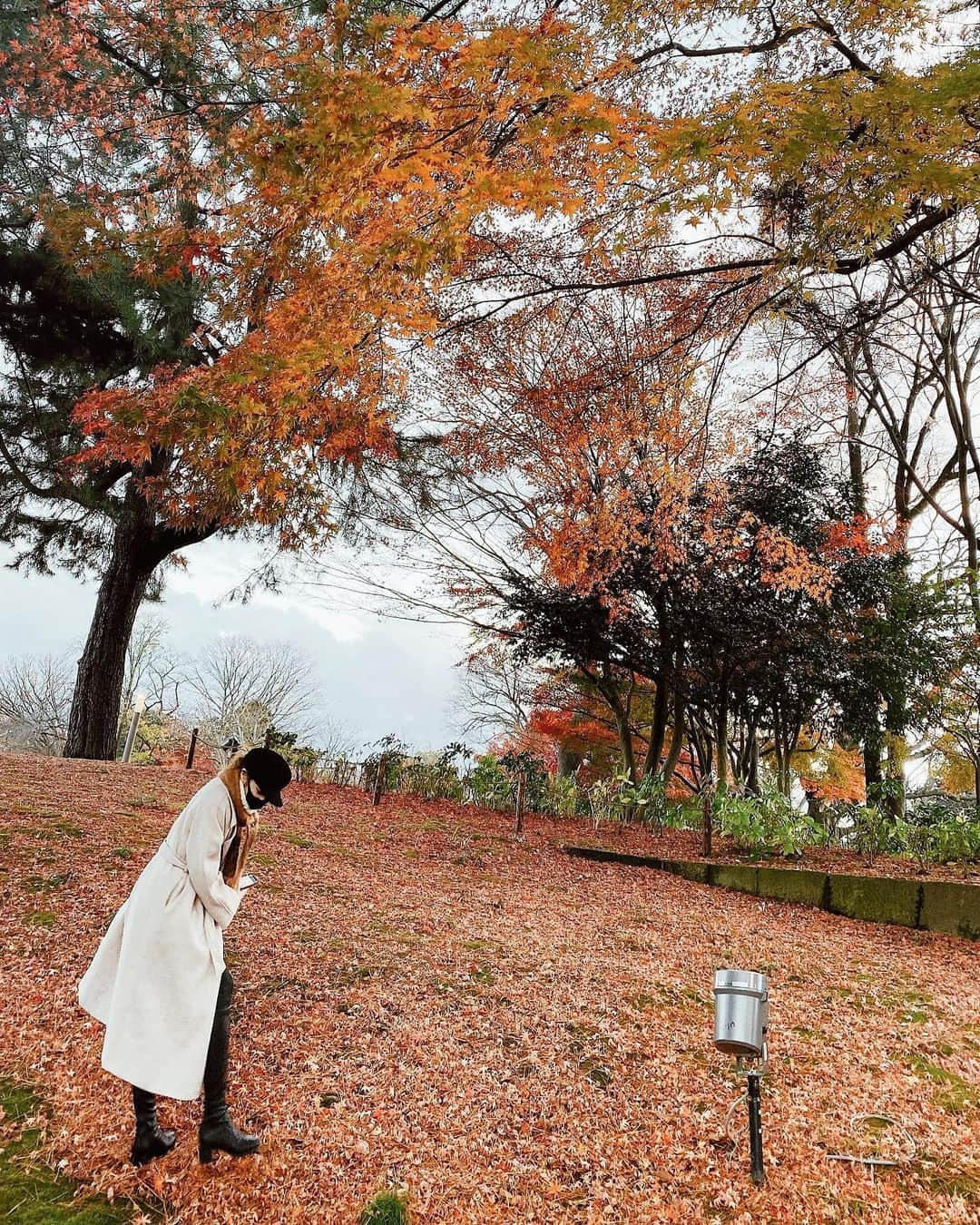 佐藤あずみのインスタグラム：「紅葉の絨毯🍁  #watermirror #travel #japan #japantravel #kanazawa #japanesefood #japanesegirl #金沢 #金沢旅行 #女子旅 #紅葉 #紅葉の絨毯 #紅葉スポット #兼六園 #金沢城 #金沢城公園」