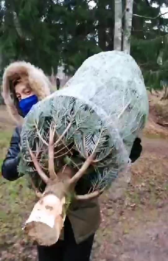 のインスタグラム：「フィンランドの日常🇫🇮  #フィンランド #クリスマス #クリスマスツリー #ヘルシンキ #joulukuusi」