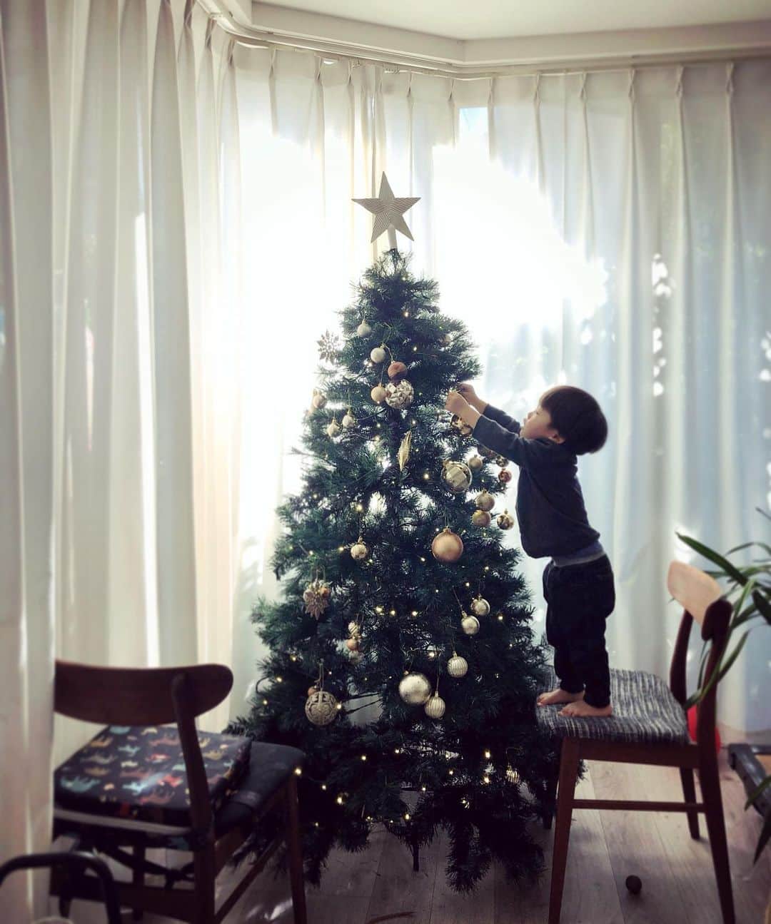 SAYUKIさんのインスタグラム写真 - (SAYUKIInstagram)「去年はオーナメントをちぎっては投げをしてた人が、今年は飾り付けをしてくれました😂  #クリスマスツリー　#christmastree  #🎄」12月12日 22時06分 - sayukisvoice