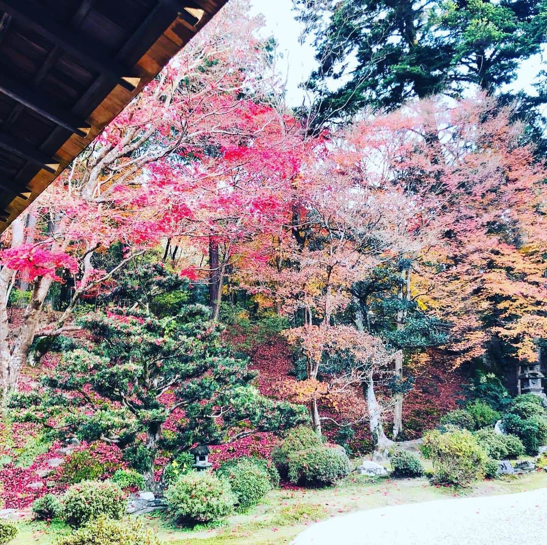 原日出子のインスタグラム