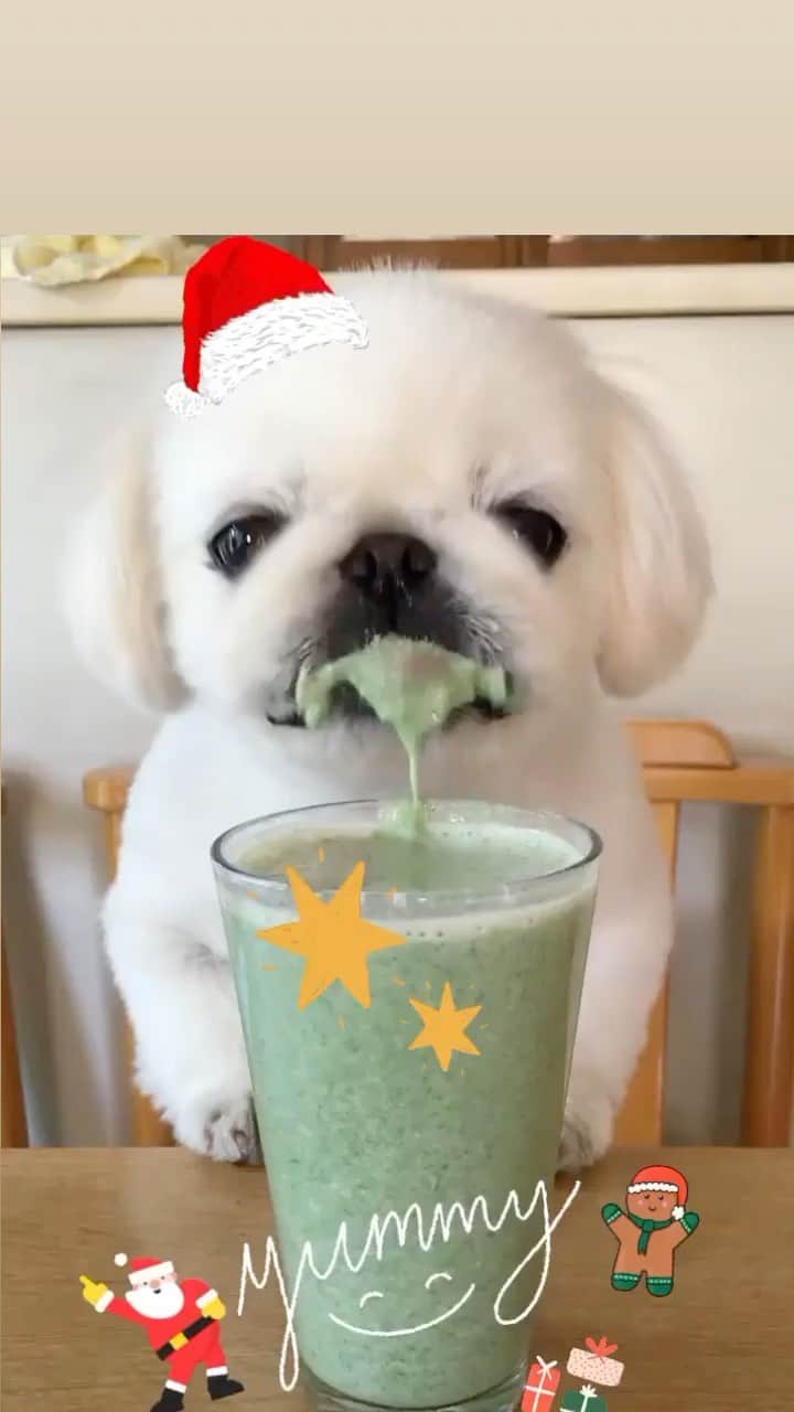 こなつのインスタグラム：「Yummy🎅💚  ⭐︎ ⭐︎ ⭐︎  #like4like#christmas#art#girl#likeforlikes#picoftheday#instagood#picture#awesome#instagram#instalike#me#good#photo#instamood#lol#fun#wonderful#instadaily#adorable#f4f#instapic#selfie#love#igers#bestoftheday#baby#cute#dog#photooftheday」