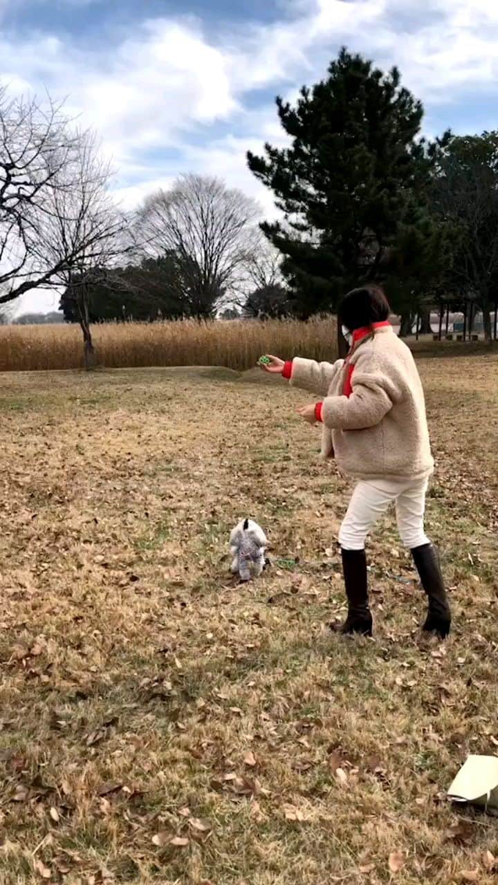 武東由美のインスタグラム