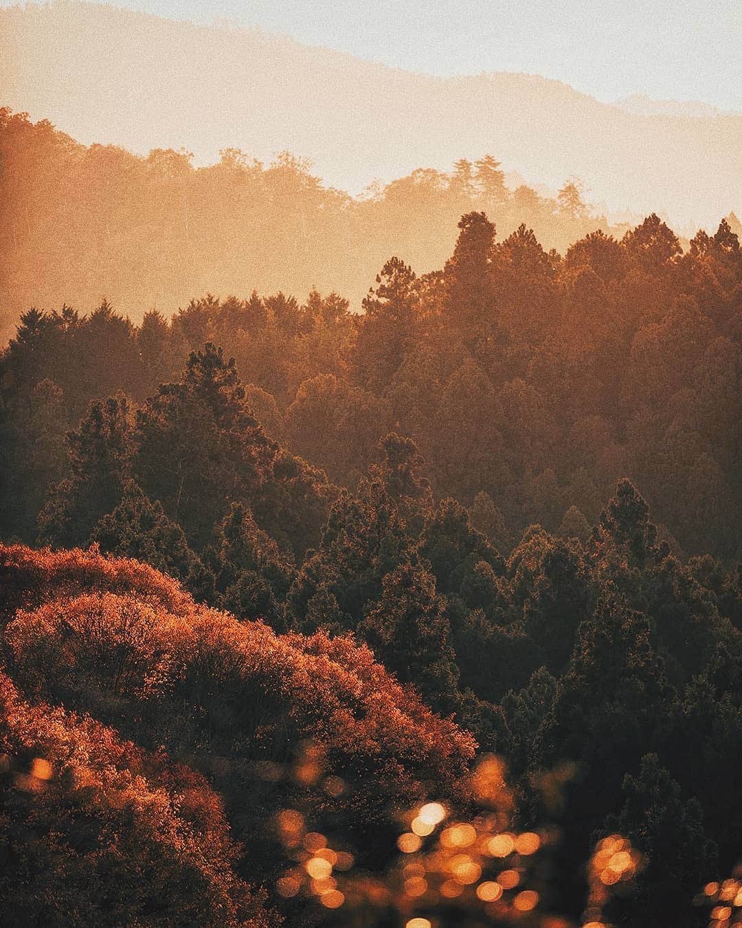 Berlin Tokyoさんのインスタグラム写真 - (Berlin TokyoInstagram)「Tucked away in the mountain, the small town takes on the glow of the evening sun. . . . #hellofrom Nara, #japan」12月12日 22時38分 - tokio_kid
