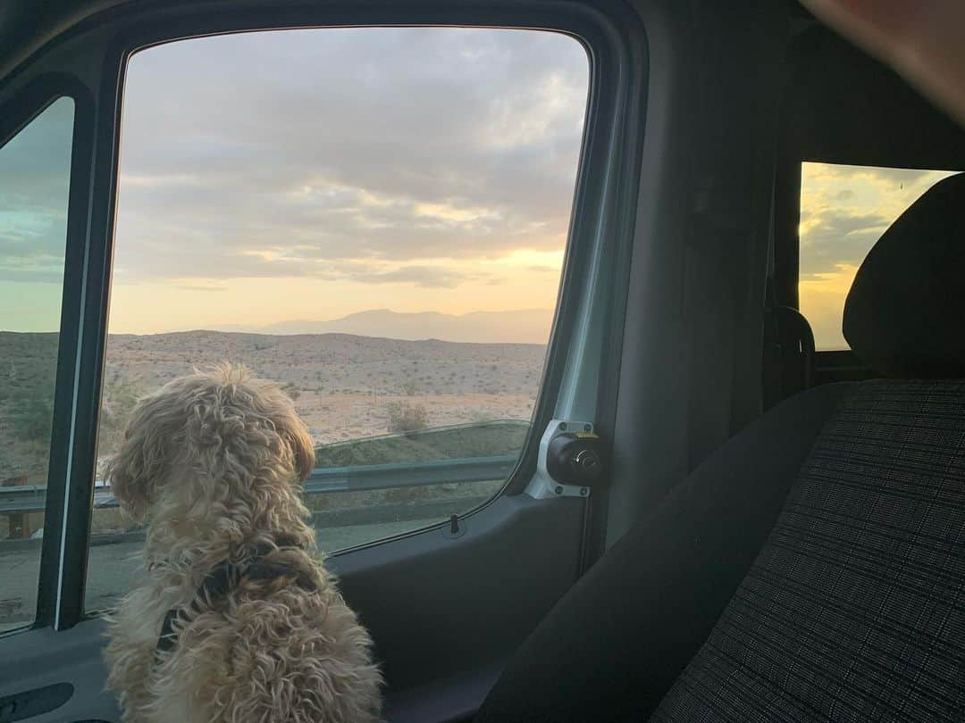 ホーランド・ロデンのインスタグラム：「Start of a new 12 month adventure- and in haggard holland fashion - It’s with a 3 hour traffic jam in the desert. But my heart melts at how much this creature lovesss sunsets ❤️ so grateful I’m this creatures mamma」