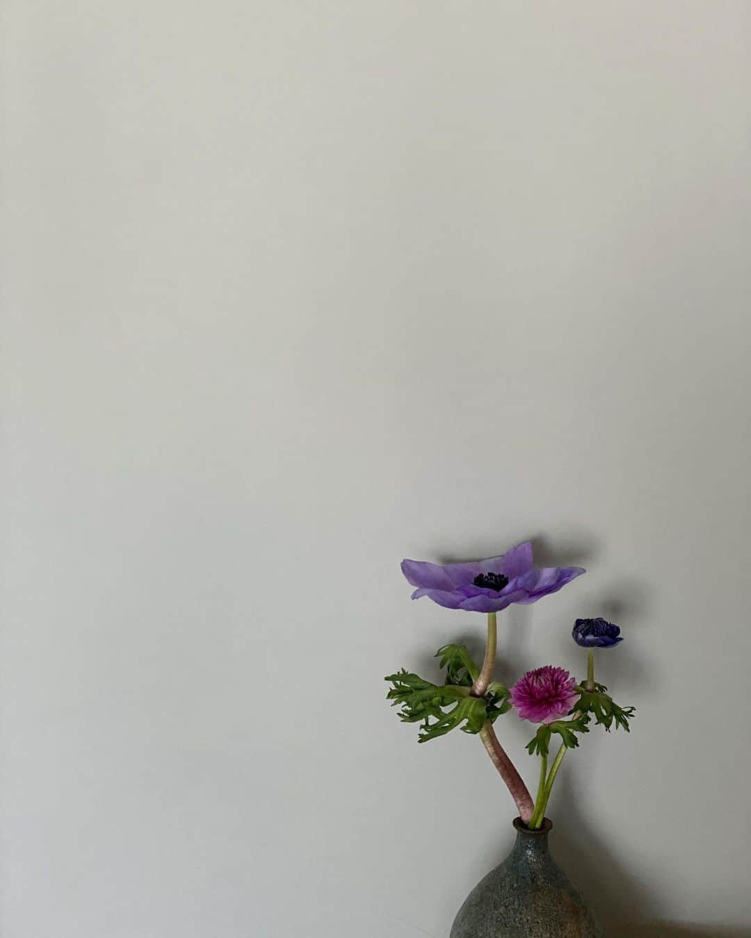 BENIのインスタグラム：「日曜の朝 Sundays:)」