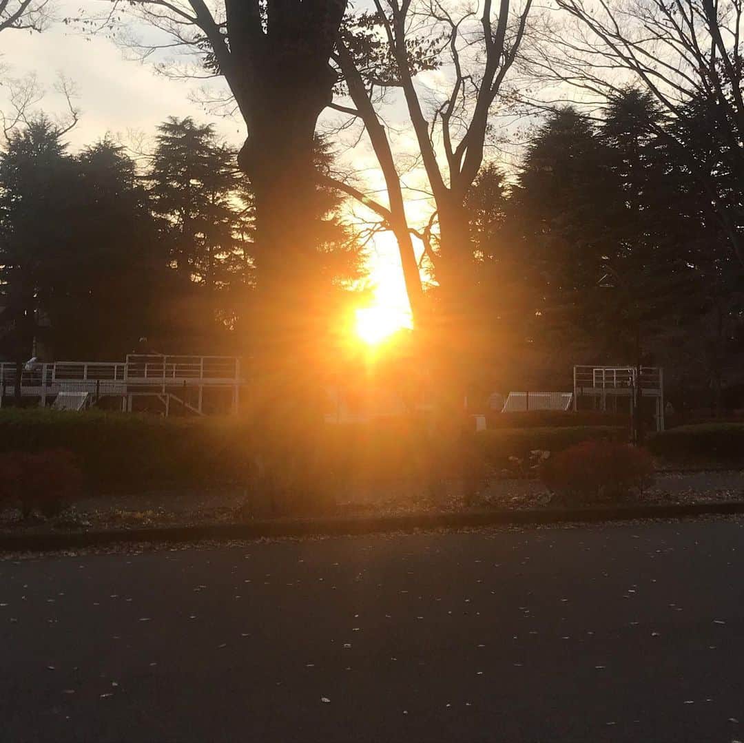 のインスタグラム：「I have never seen so beautiful a sunset. すごい強いパワーを感じる光を見つけた。spiritual world....🧡✨✨#sunset #nofilter」
