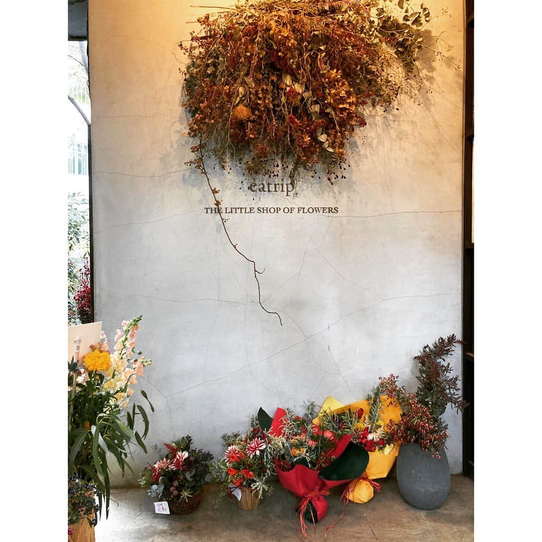 journaleatripのインスタグラム：「winter  tradition  なんだかんだの師走感。 合間にお店に差し込む12月の光や 風物詩にハッ。」
