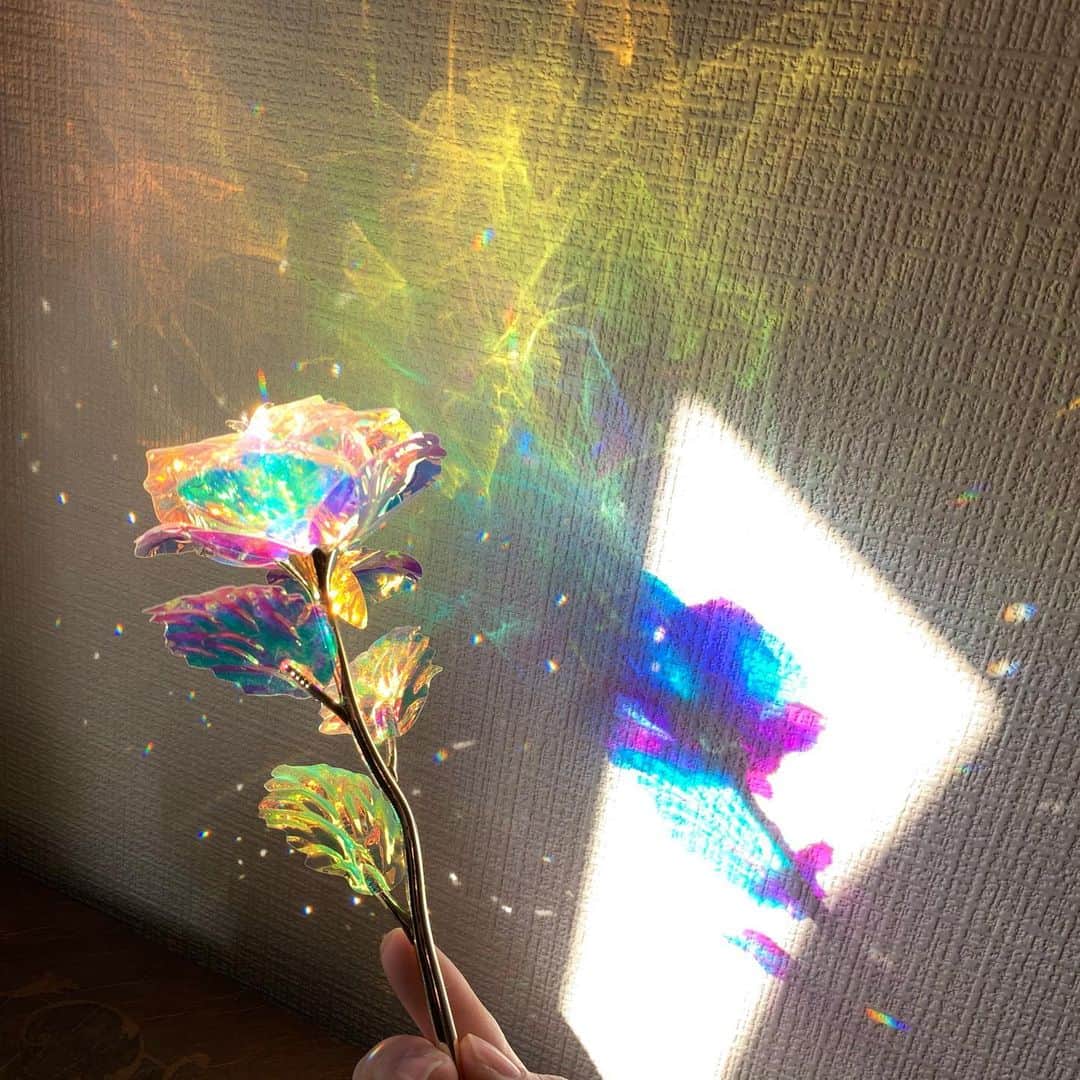 のインスタグラム：「朝日ってきれいだな　いろんなものがキラキラ光ってる」