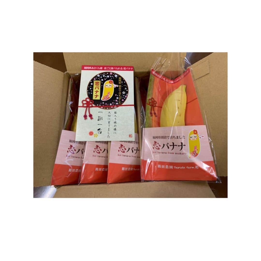 篠原まりあのインスタグラム：「__________** . 連続になりますが 今年からサポートしていただいている 朝倉の恋バナナさんにご挨拶に行きました 🍌 .  無農薬で作っているので 安心して食べれます . 会社でいただいたバナナジュースが 牛乳とバナナだけで作っているのに とても甘くて美味しくて驚きました 🥺 .  とても人気で 品薄状態ですが 是非 食べてみてください 🍌🤍 .」