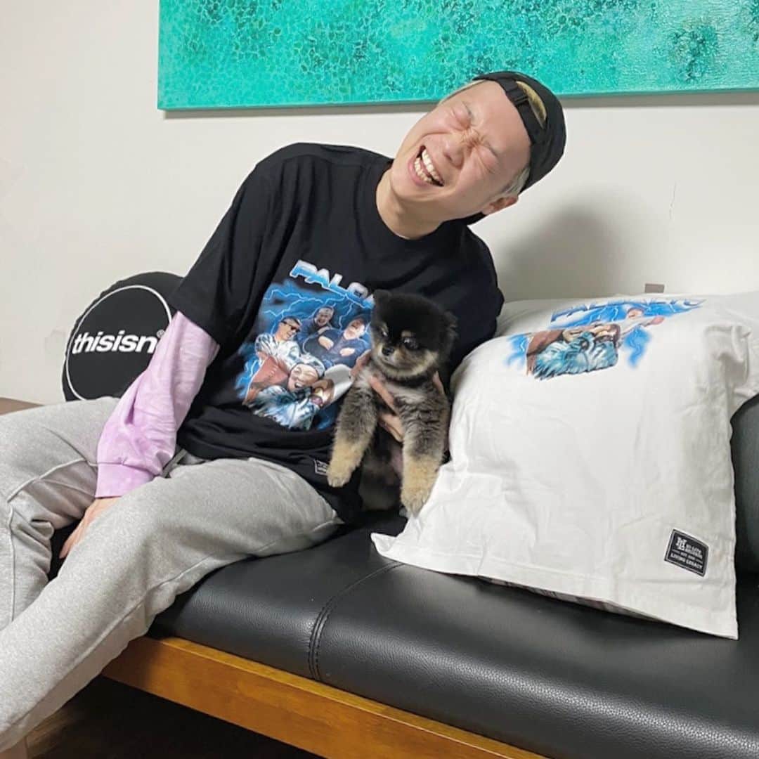 Paloaltoのインスタグラム：「문의 쇄도로 알려드립니다잉 팔로알토 웃음벨 티셔츠 1월15일부터 SPAO 온, 오프라인샵과 무신사스토어에서 판매한다고 합니닿!」
