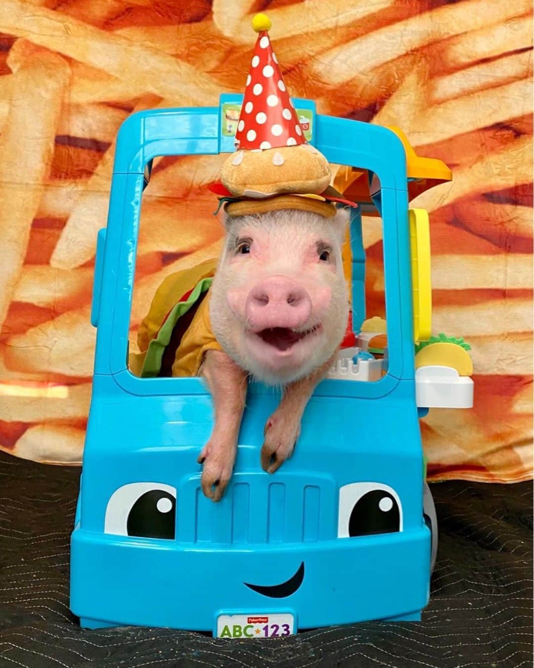 Priscilla and Poppletonさんのインスタグラム写真 - (Priscilla and PoppletonInstagram)「HAPPY 7th BIRTHDAY POP!🎉Piggy dreams do come true! We surprised Pop with his very own food truck for his junk food party! Look how happy he is! We are going to be his first customers at his party today! Pop, we hope you have the best birthday ever! We love you more than all the junk food in the world! Check back later for the party fun! It’s going to be one yummy celebration!🚛🍔🐷#happybdaypoppleton #popturnsseven #foodtruck #junkfoodvegan #SillyPop #PrissyandPop」12月13日 1時11分 - prissy_pig