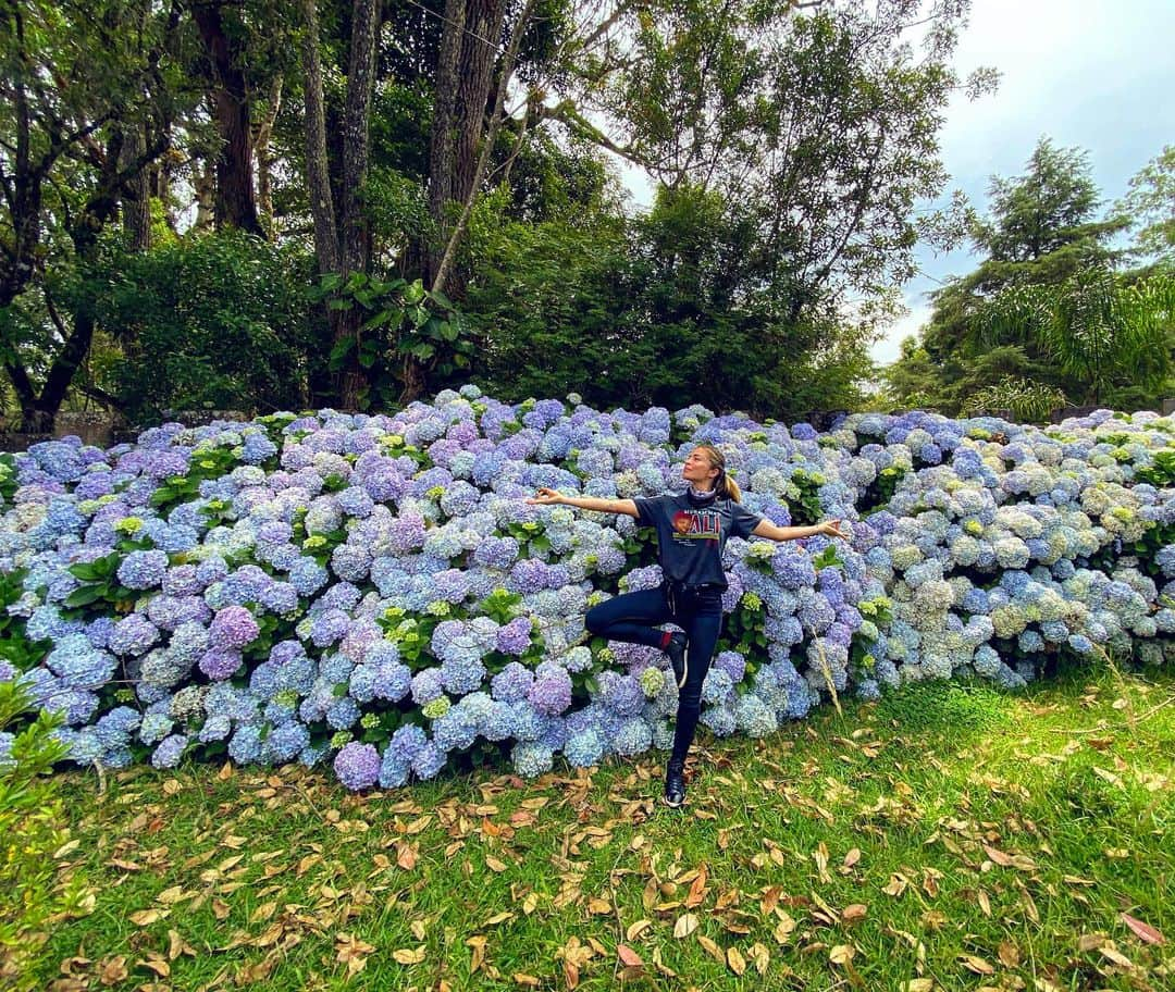 massaferaさんのインスタグラム写真 - (massaferaInstagram)「❤️💛💙💚💜🧡 natureza sua linda gratidão !!! 🙏🏼✨」12月13日 1時29分 - massafera