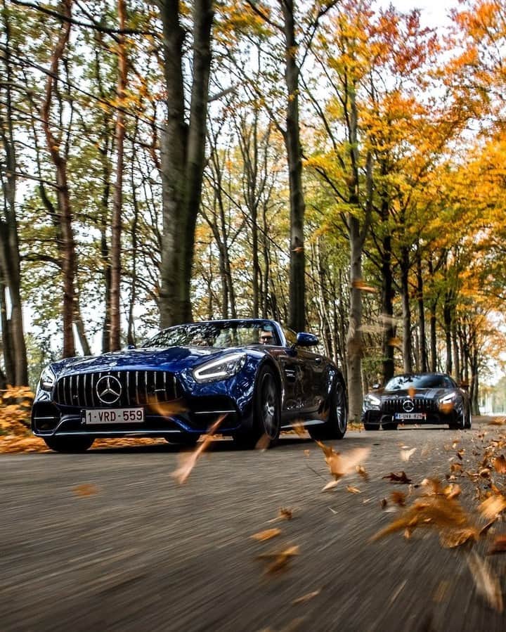 Mercedes AMGさんのインスタグラム写真 - (Mercedes AMGInstagram)「[Kraftstoffverbrauch kombiniert: 13,0 l/100 km  CO₂-Emissionen kombiniert: 298 g/km  amg4.me/efficiency-statement  Mercedes-AMG GT C Roadster]  [Kraftstoffverbrauch kombiniert: 13,1 l/100 km  CO₂-Emissionen kombiniert: 299 g/km  amg4.me/efficiency-statement  Mercedes-AMG GT R PRO]  Traveling is always more fun with a friend! 😉 Bring a bit of the AMG GT family Home with the 2021 calendar. Click on the tag to get yours!  📷 @tinojacobs.be  #MercedesAMG #AMG #DrivingPerformance #GTRPRO #AMGGTFAMILY」12月13日 2時00分 - mercedesamg