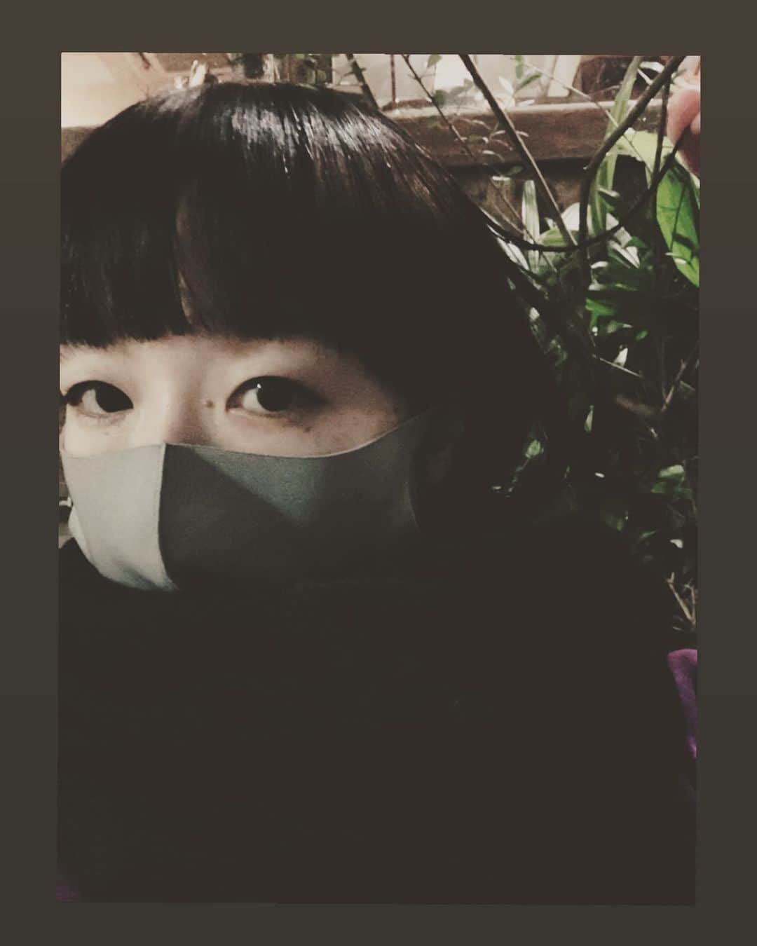 たむらぱんのインスタグラム：「くりびかり🌰🤗🌰」
