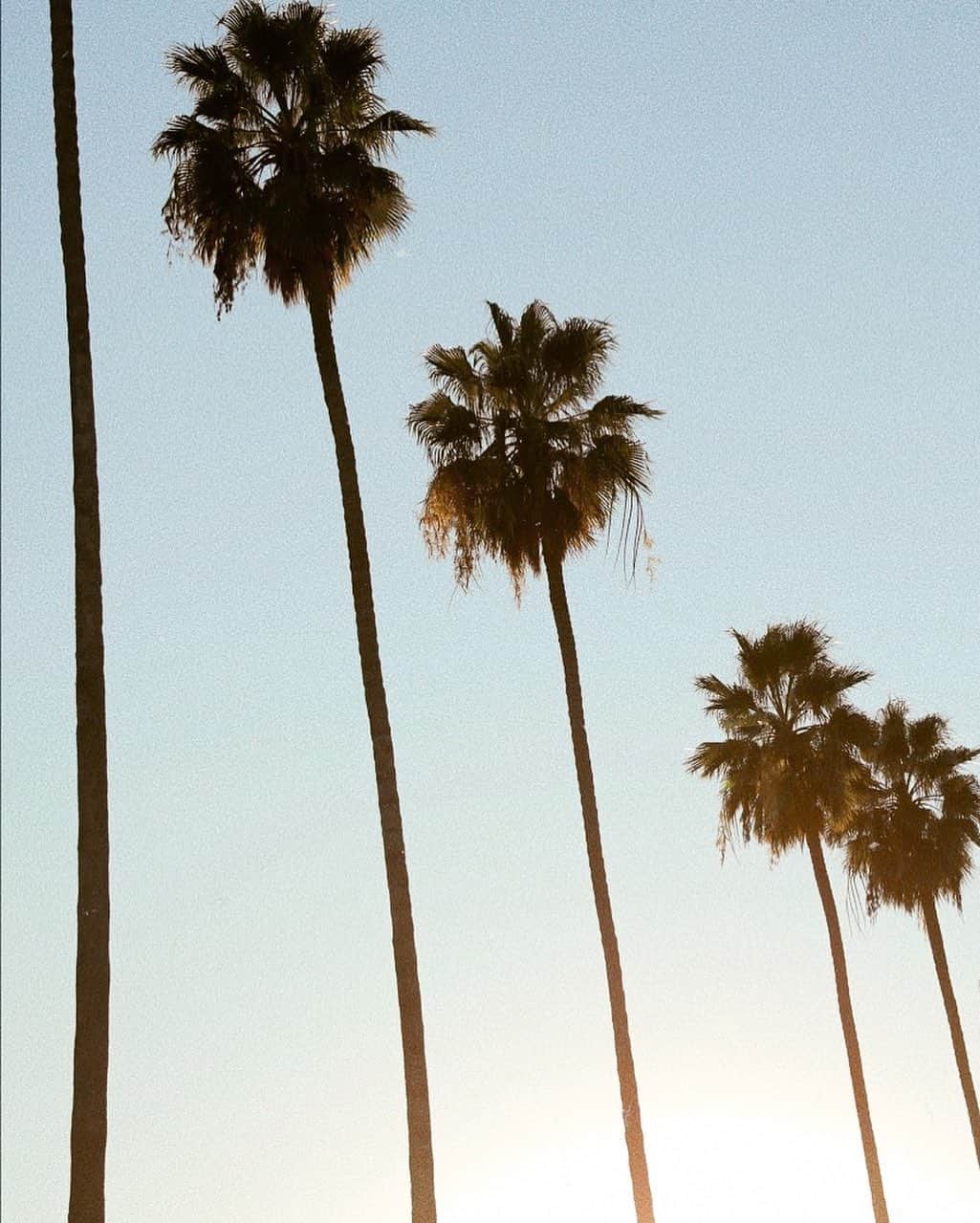 ジュリー・サリニャーナのインスタグラム：「143 LA. 🌴」