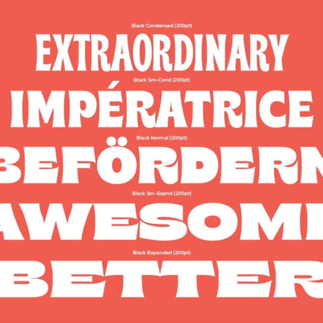 myfontsのインスタグラム：「In between the one-day foundry-wide sales that we’re bringing you during the rest of the #12Days of #Type, today and tomorrow are jam-packed with equally big discounts on individual families – including all those you see here.  #fontsale #typography #design #graphicdesign #graphic #fonts #font #sale」