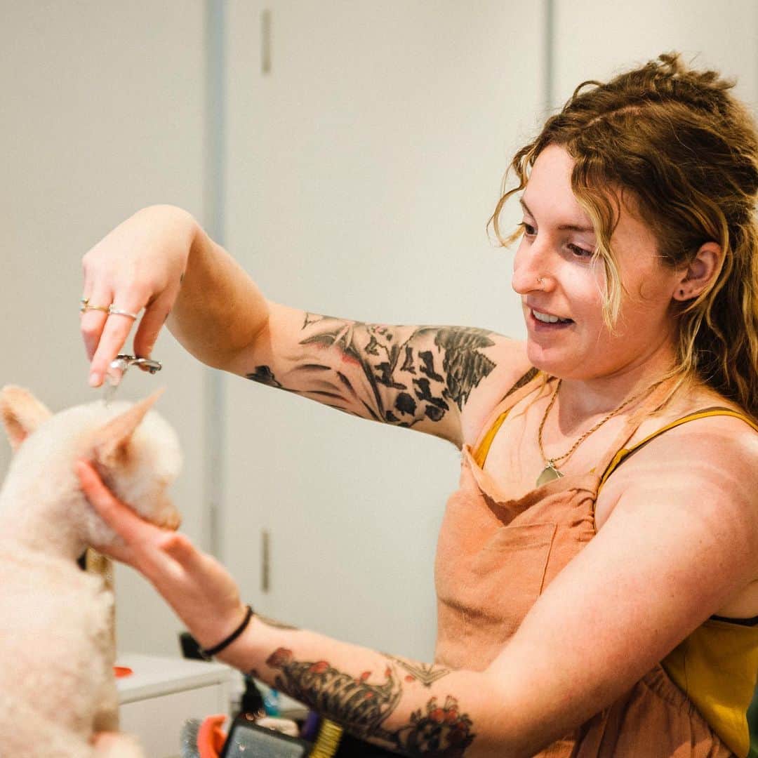 Dogs by Ginaのインスタグラム：「“You make it look so easy” I hear it all the time. But whats behind the “easy” is actually very difficult and emotionally draining. To have the ability to transform a dogs energy means I take on all that stress, fear, negativity and I store it in my body. With calm breaths of leadership and confidence; gentle touches, slight movements/ adjustments and reassurance I gain trust. Thats the magic ✨」