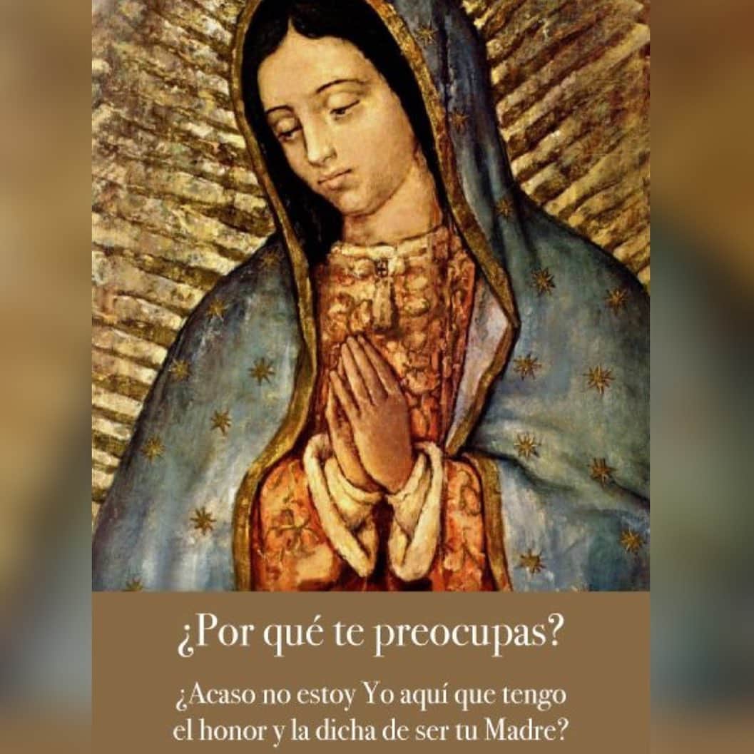 Despierta Americaさんのインスタグラム写真 - (Despierta AmericaInstagram)「Que la Virgen de Guadalupe nos ilumine y proteja en este día. #12Diciembre」12月13日 3時21分 - despiertamerica