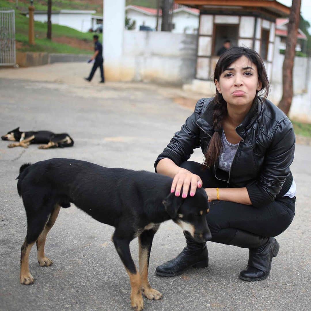ハンナ・シモンのインスタグラム：「I am a forever housecat but once upon a time I ran away to the Kingdom of Bhutan and rode a motorcycle up a mountain to a nunnery and fell madly in love with the local stray dogs which due to the Bhutanese belief that all life is created equal the doggies all have their shots and are loved and fed and played with and so are the sweetest kindest goodest pups in the world and take me back take me back take me back please tell me your once upon a time travel stories below so I can live vicariously through your random adventures and scroll and cry kthx 😿🐶🇧🇹 @tertontravelbhutan」