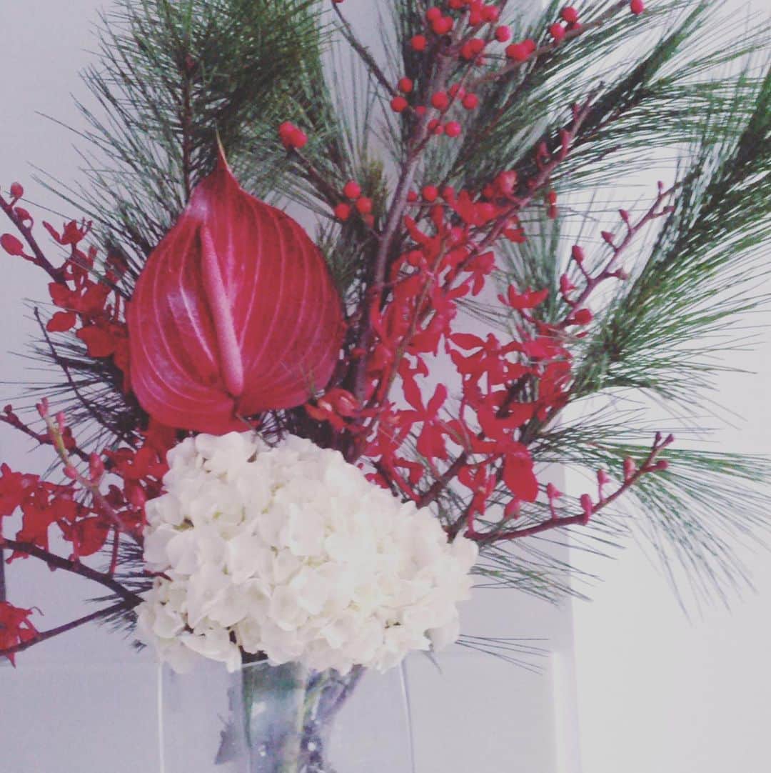 前田真里さんのインスタグラム写真 - (前田真里Instagram)「#flowers  これから、これまでのお花を アップしていきます〜🤗  NYCに住んでいたころは クリスマス時に  こんな奇抜な笑　生け方をしていた ようです⭐️」12月13日 9時56分 - maedamari